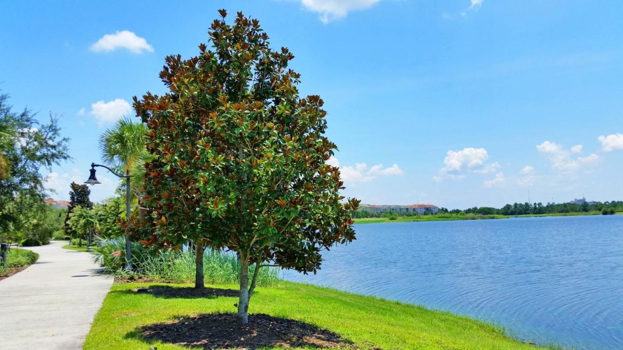 Lakeview Executive Penthouse أورلاندو المظهر الخارجي الصورة